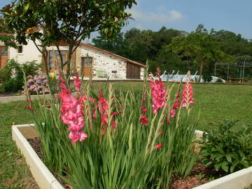 Chambre À Louer Saint-Loubouer 96822