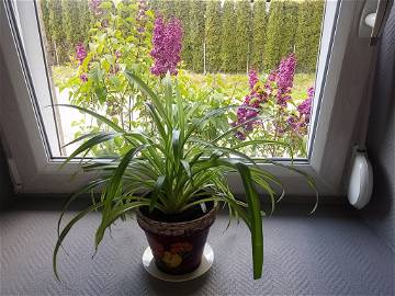 Logement Entier Esboz-Brest 127572-12