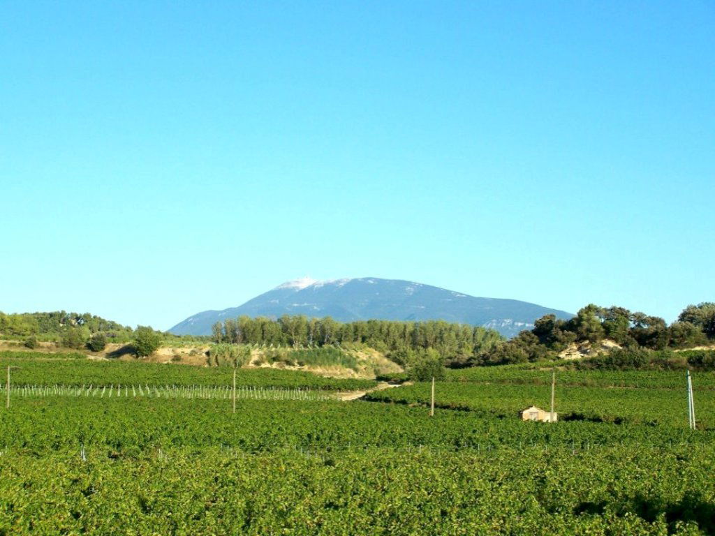 Onafhanklike Ateljee Vaison-la-Romaine 74785