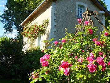 Chambre À Louer Troo 255601-1