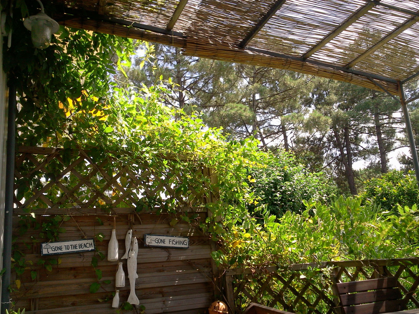 Oberoende Studio Lanton 10724