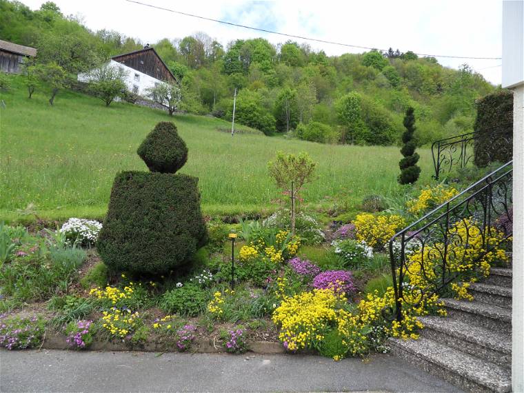 Homestay La Bresse 81696