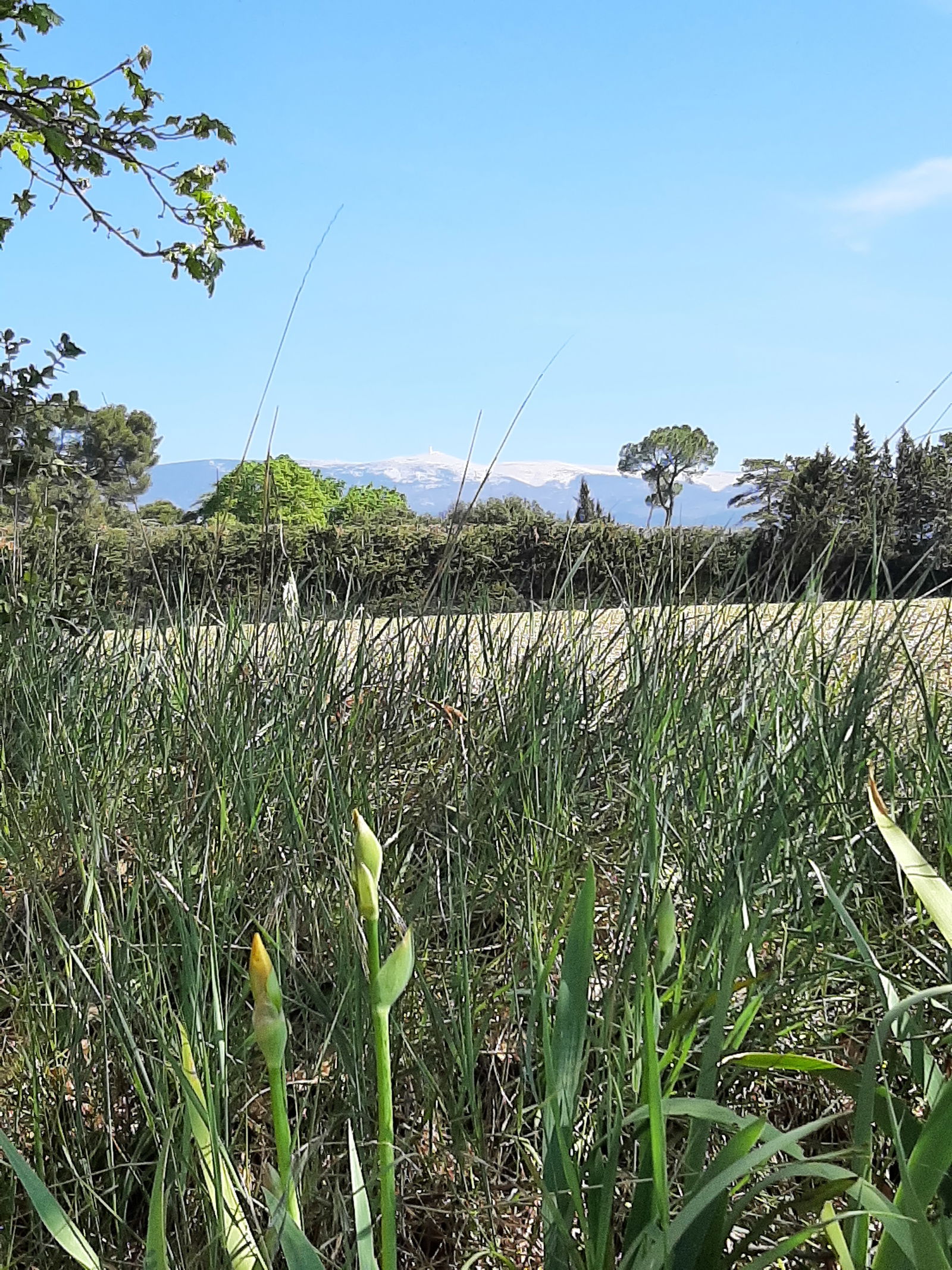 Unabhängiges Studio Mormoiron 266502