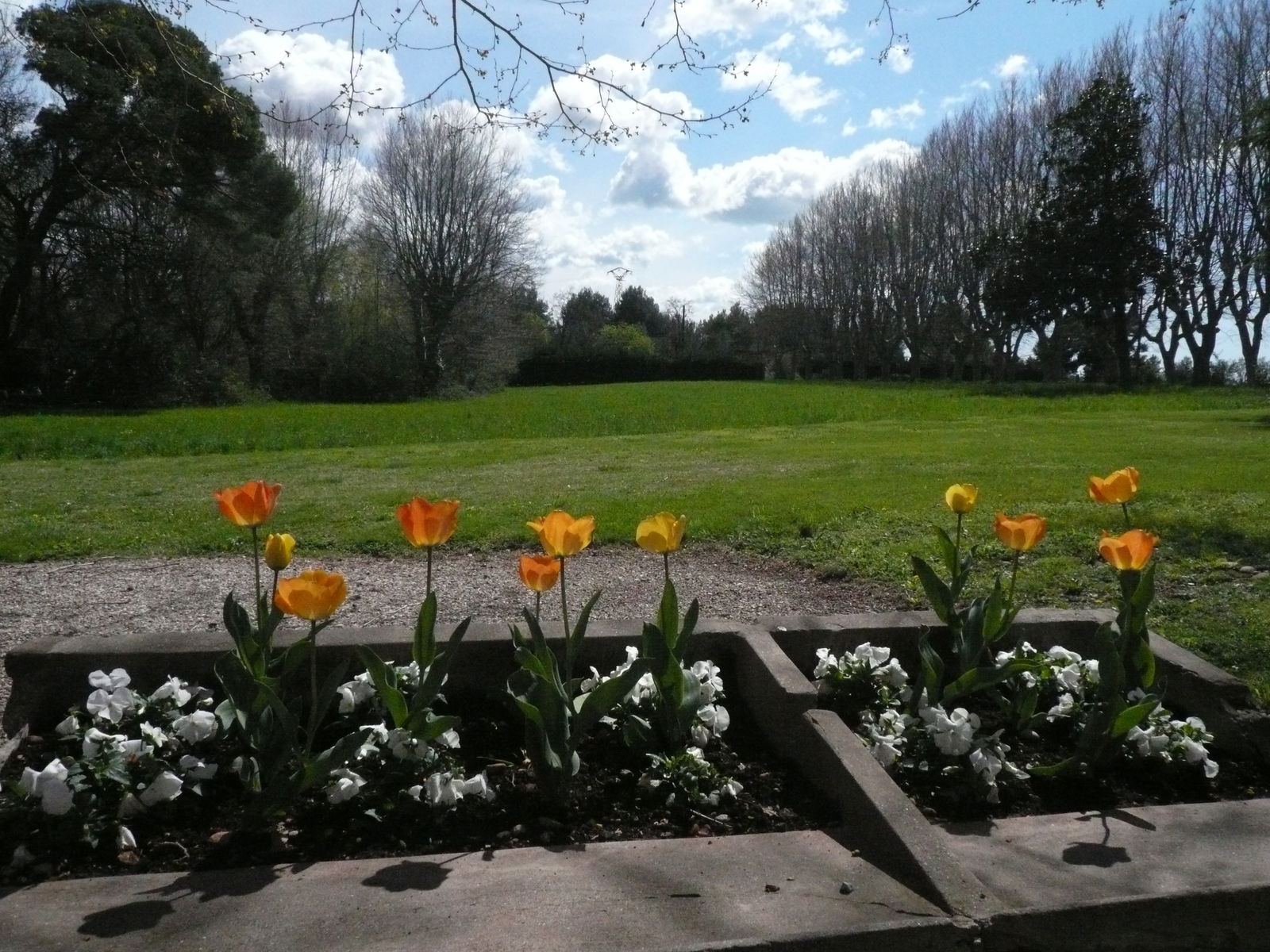 Niezależne Studio Istres 41206