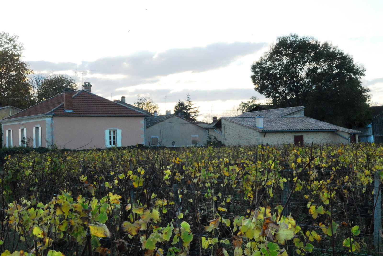 Ganz Haus Barsac 492692