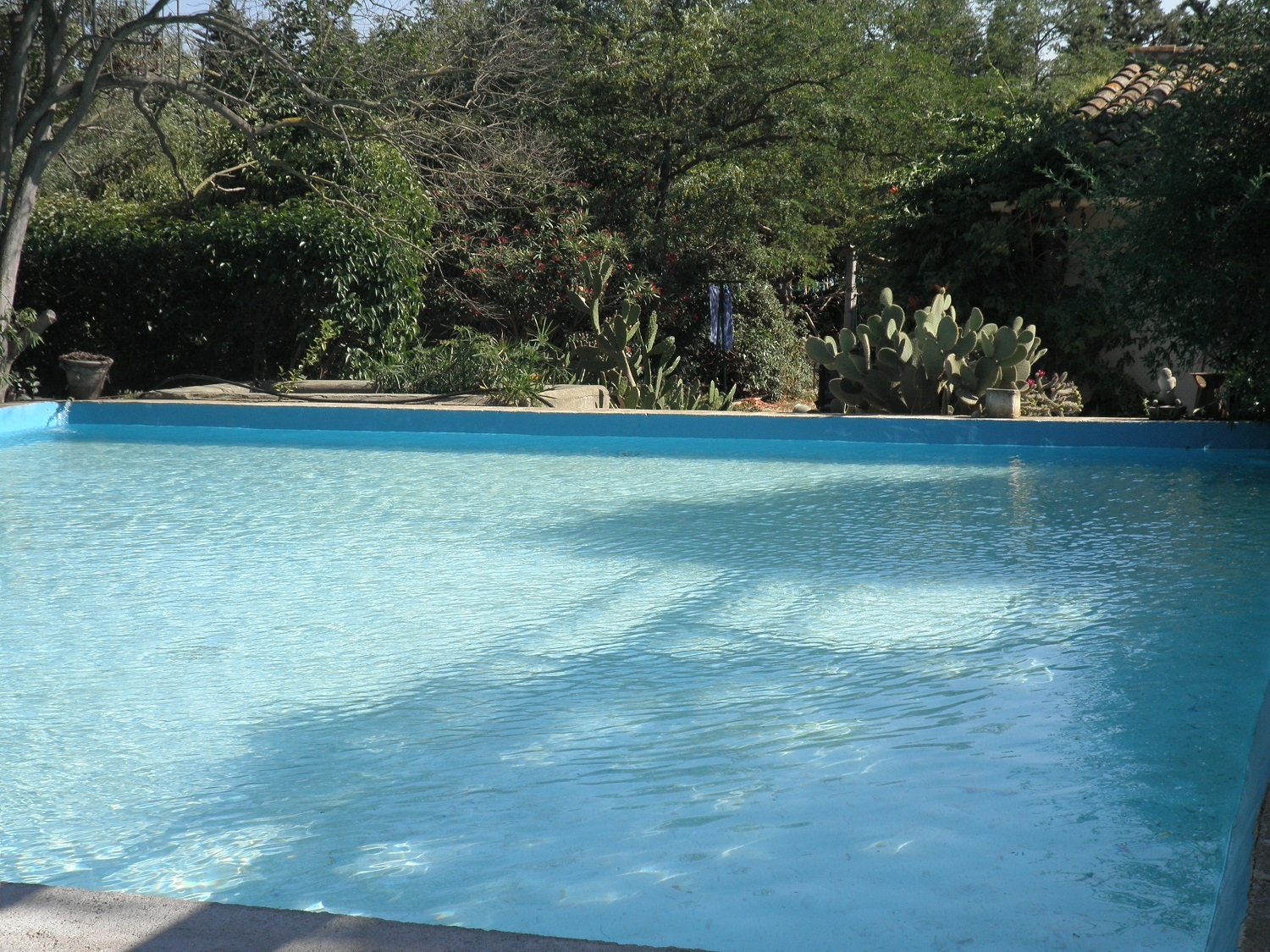 Onafhankelijke Studio Claira 85667