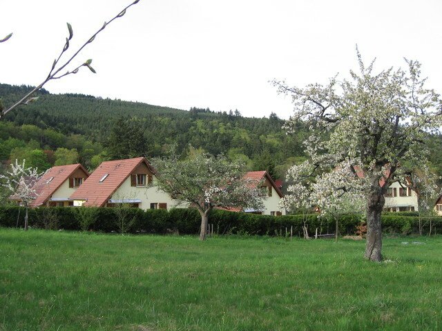 Onofhängeg Studio Thannenkirch 29779