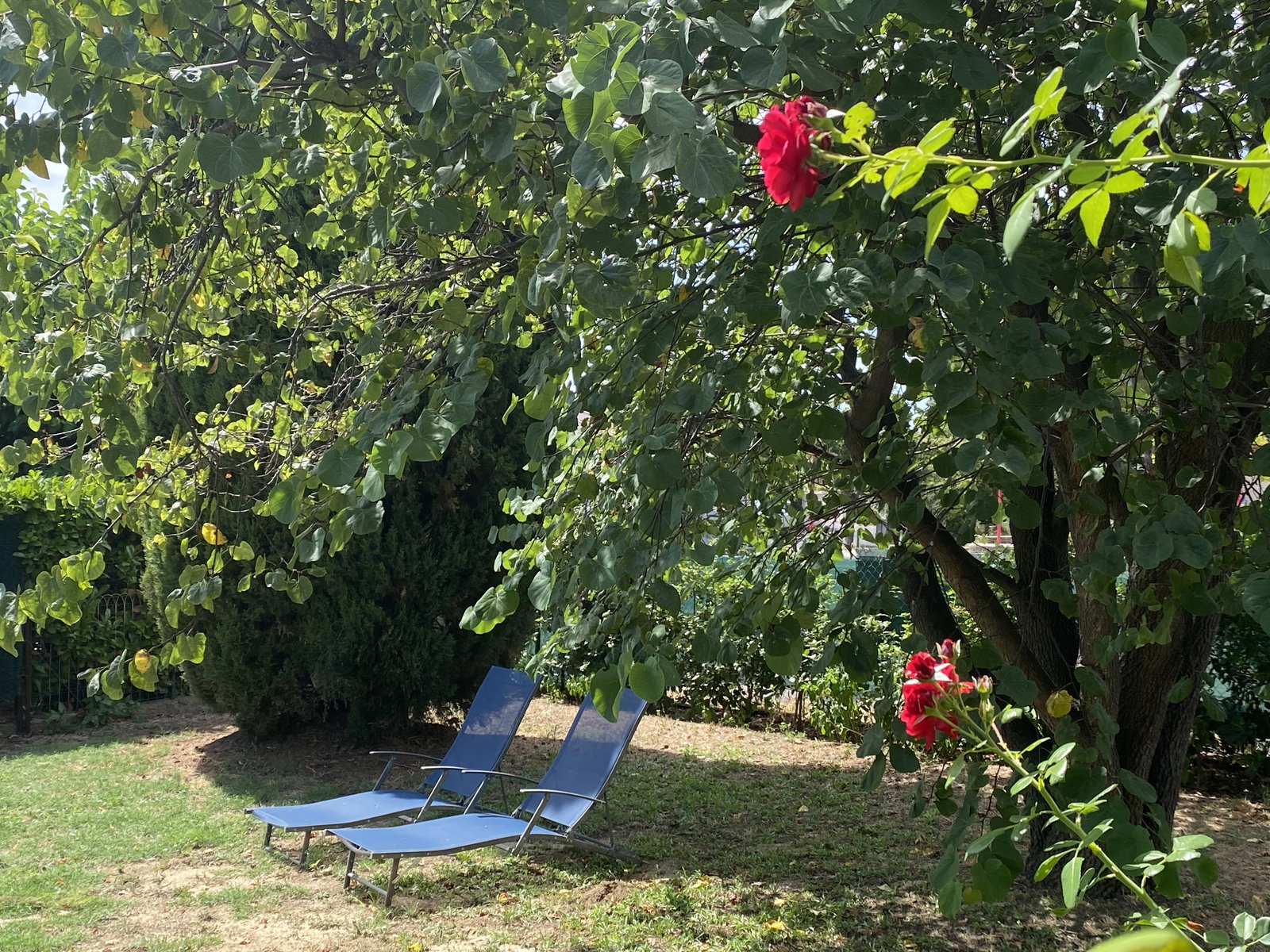 Cały Dom Pailhes 241334