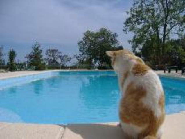 Camere Per Gli Ospiti Vauvert 45317-1