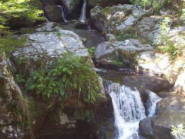 Logement Entier Valprivas 45830-8