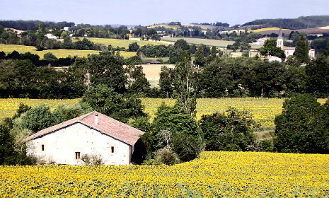 Entire Home Puylaurens 63141