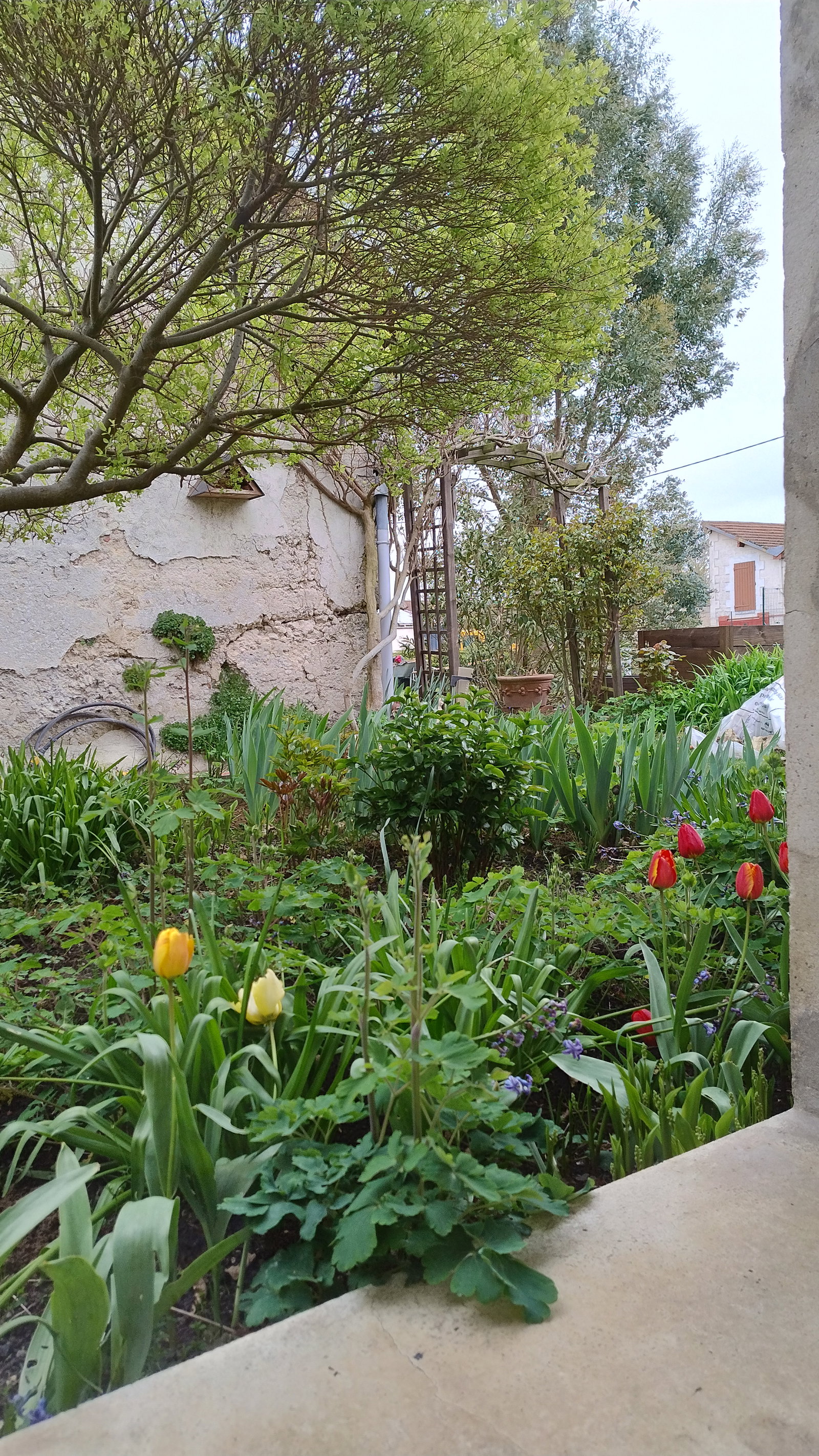 Logement Entier Crouy 661460