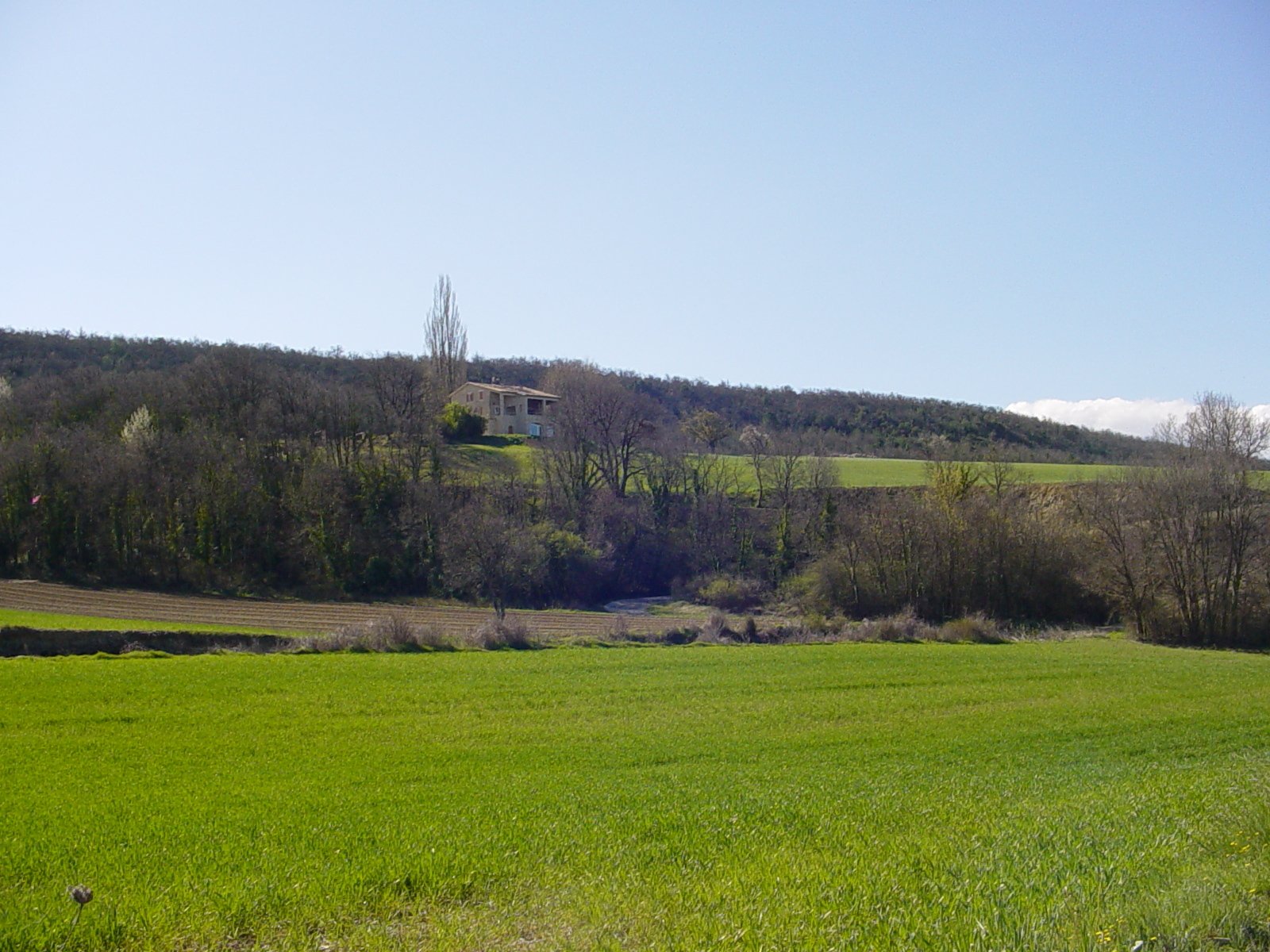 Hemvistelse Forcalquier 194501