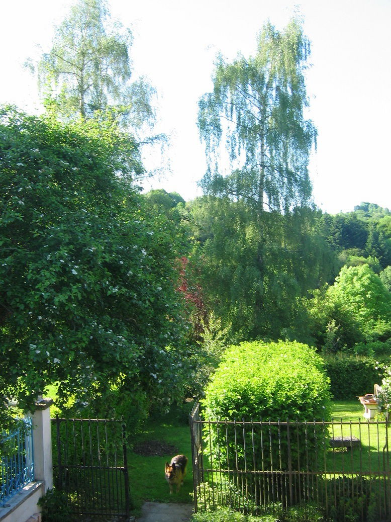 Itsenäinen Studio Avèze 64095