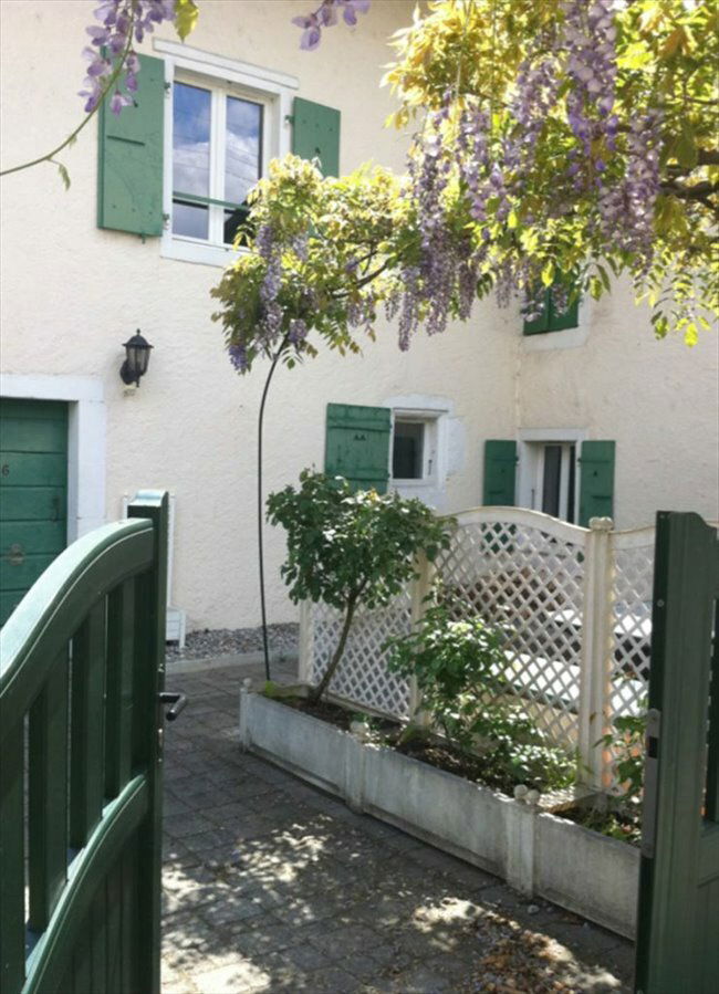 Colocation Puplinge 109114