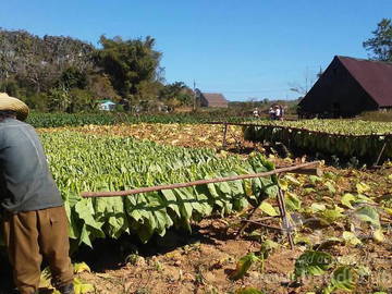 Chambre Chez L'habitant Pinar Del Río 334951-9