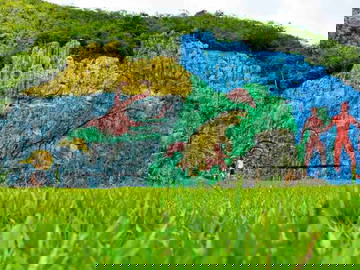 Chambre Chez L'habitant Pinar Del Río 334951-17