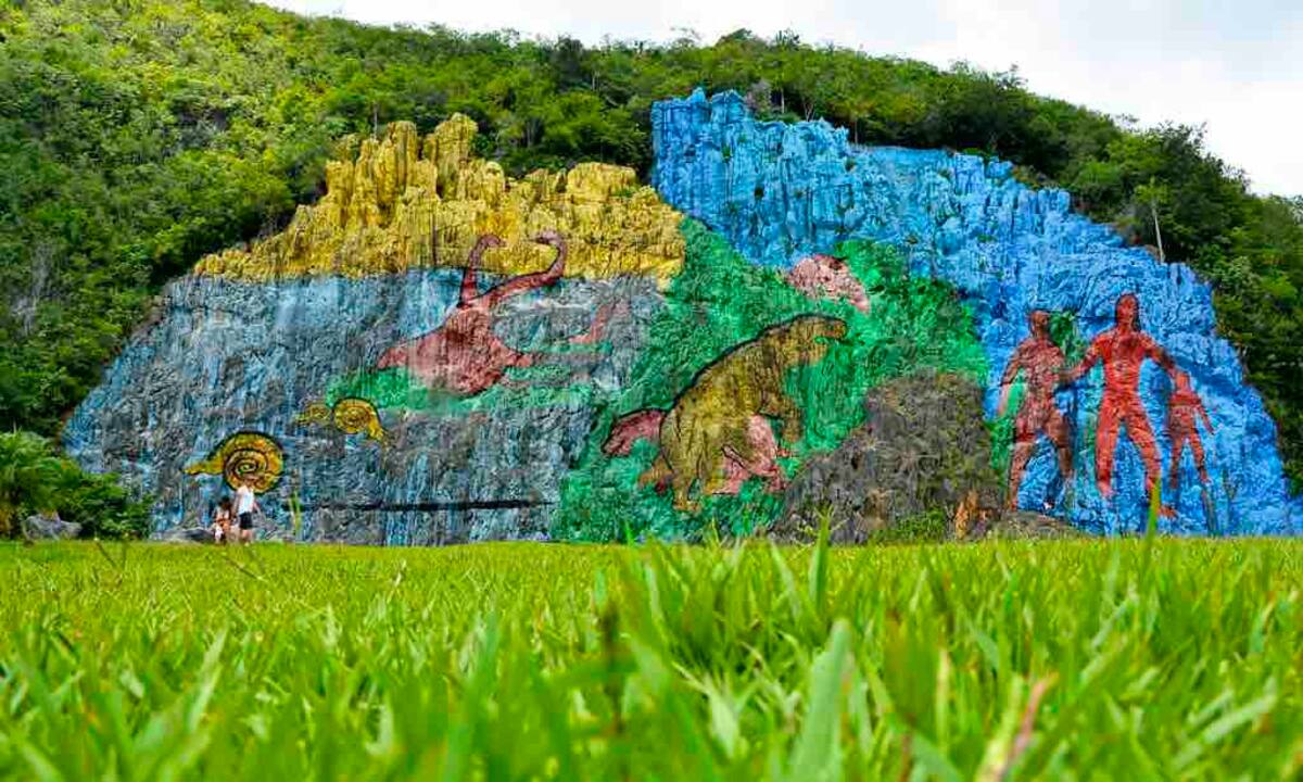 Famiglia Pinar del Río 334951