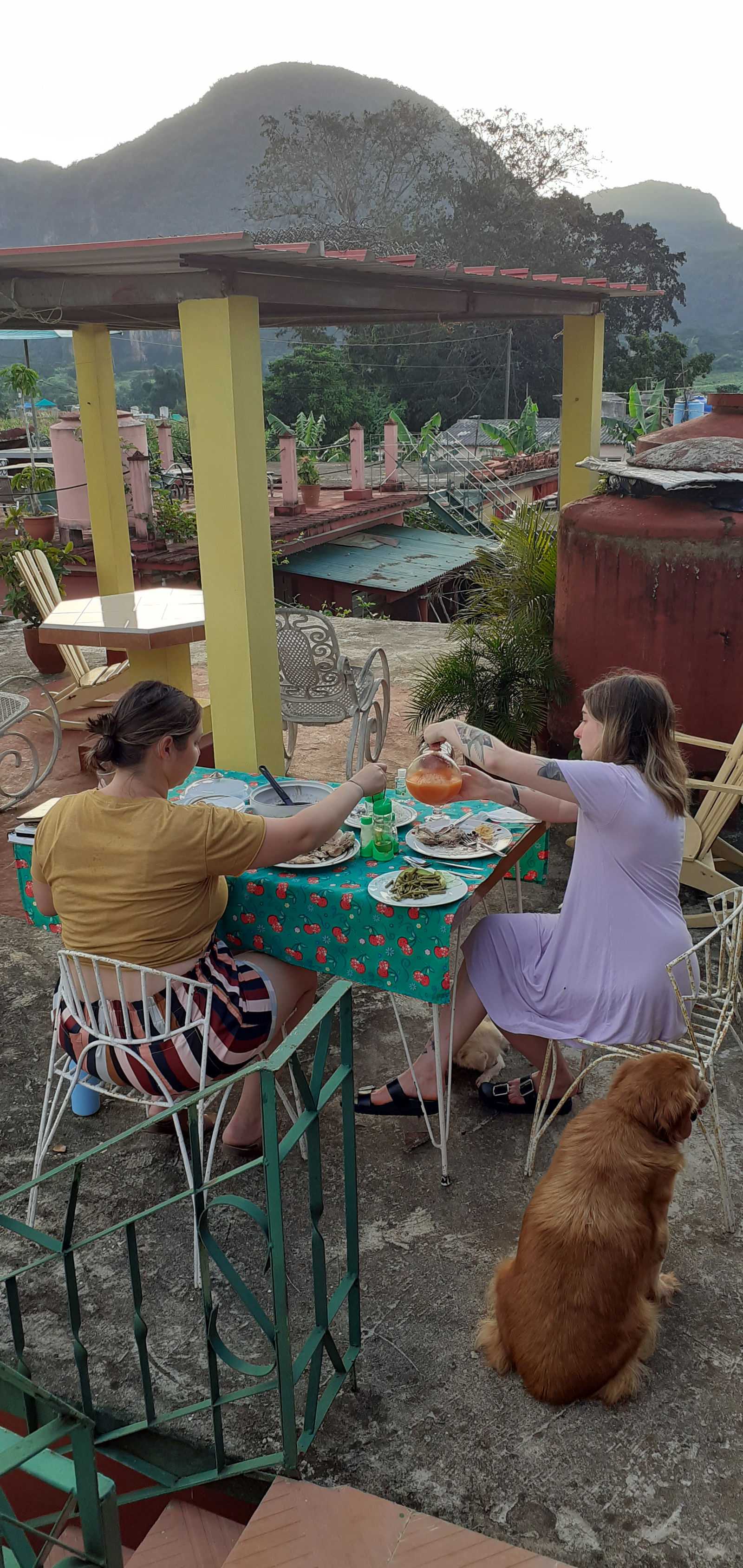 Gastfamilie Pinar del Río 334951