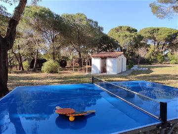 Logement Entier Melides 258394-8