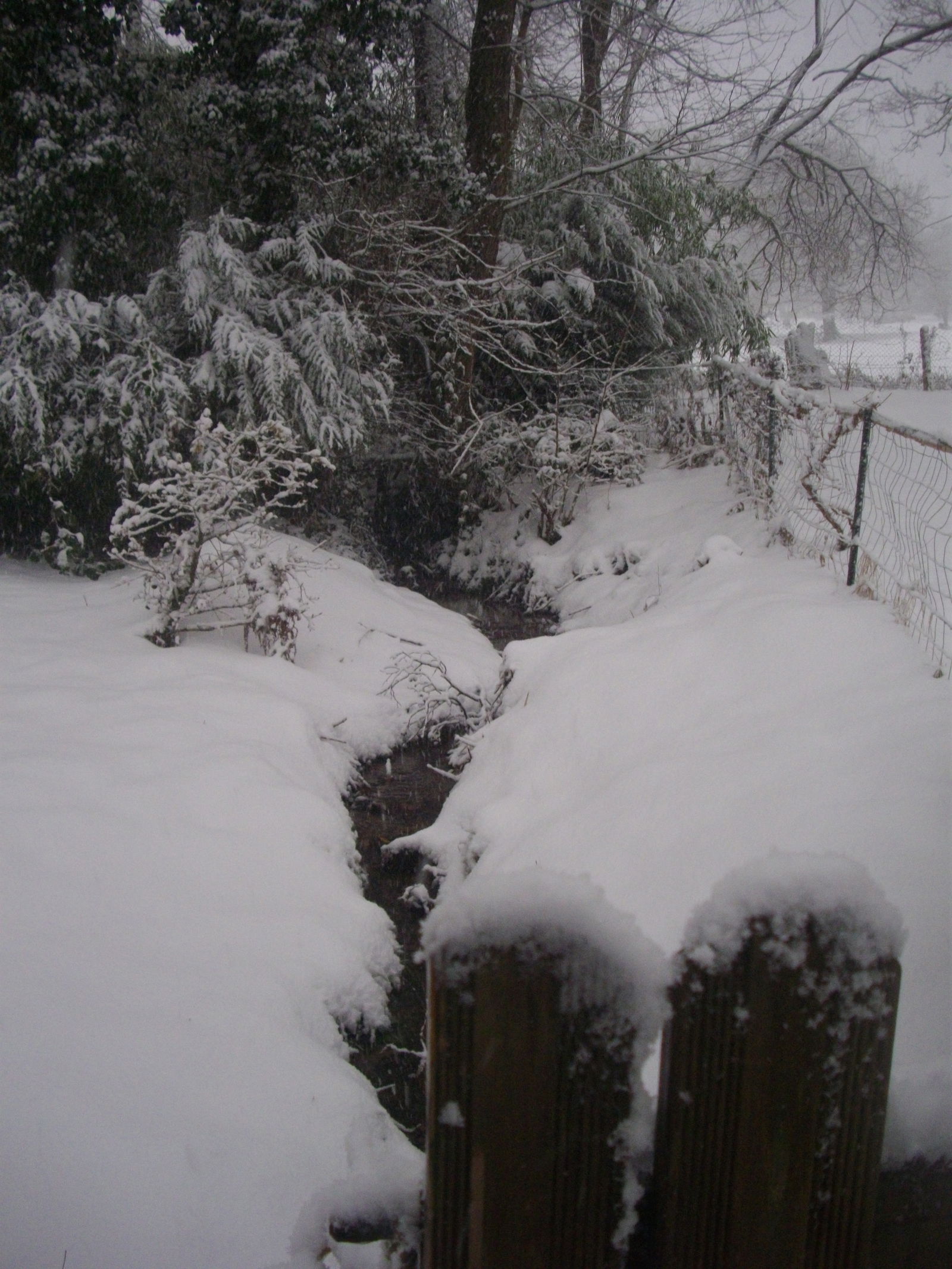 Tutta La Casa Alzen 150204