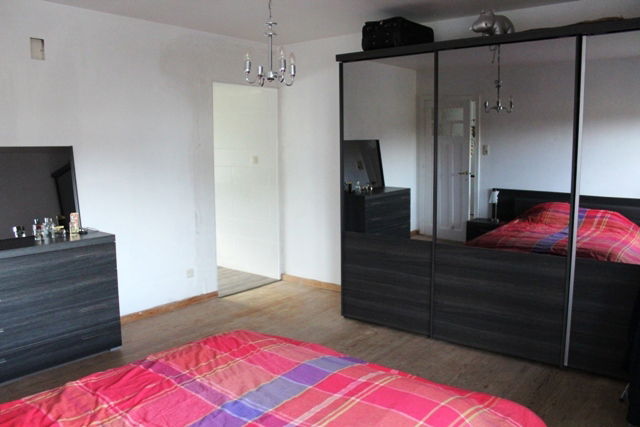 Kolokasie Arlon 112959