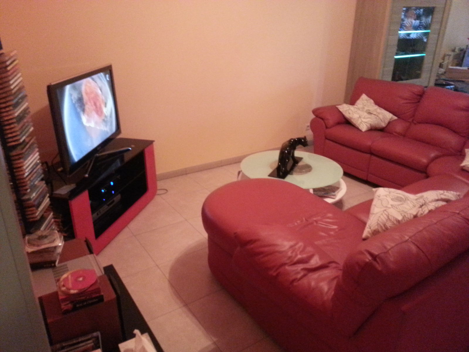 Kolokasie Jette 91616