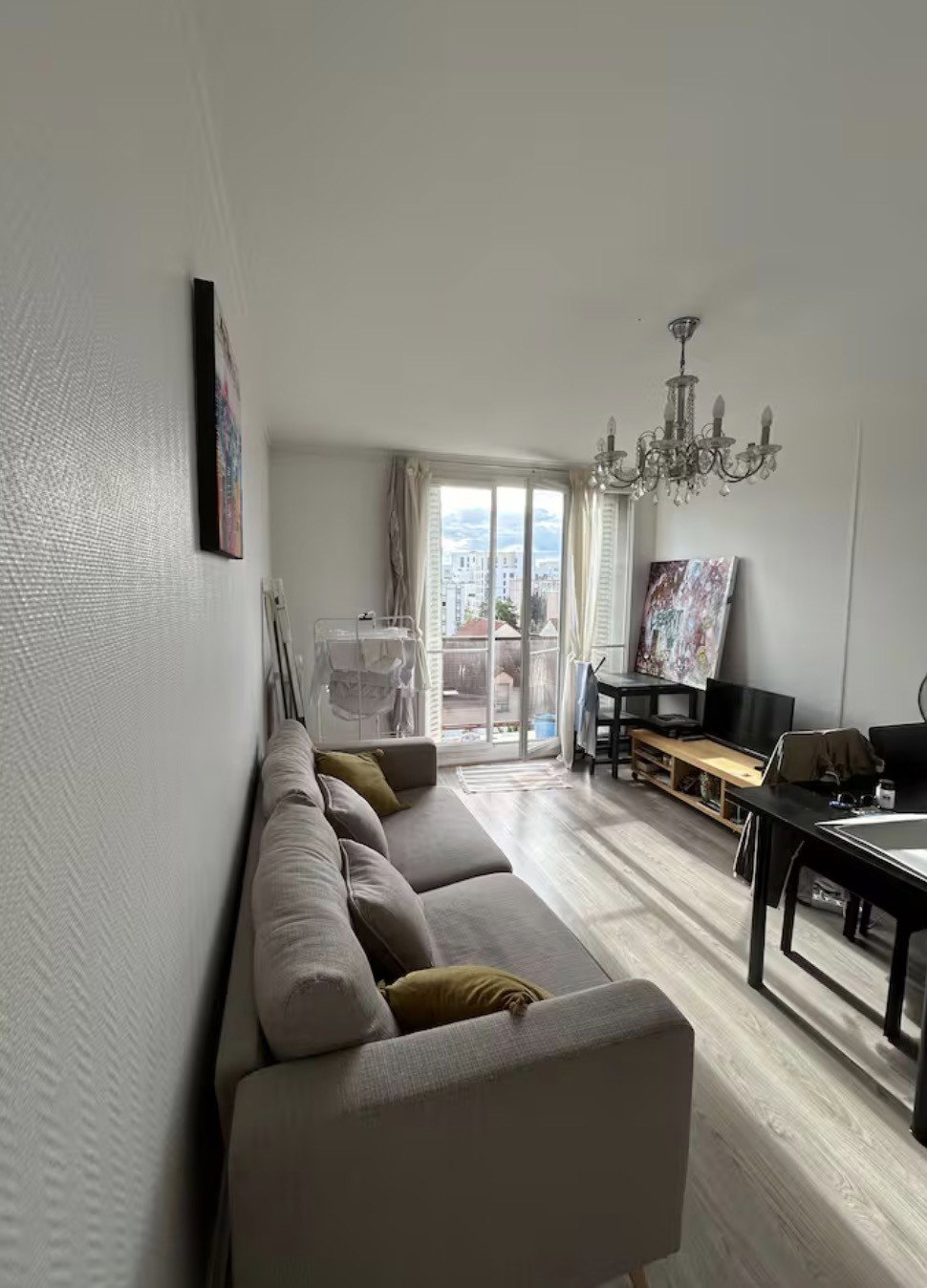 Kolokasie Colombes 247852