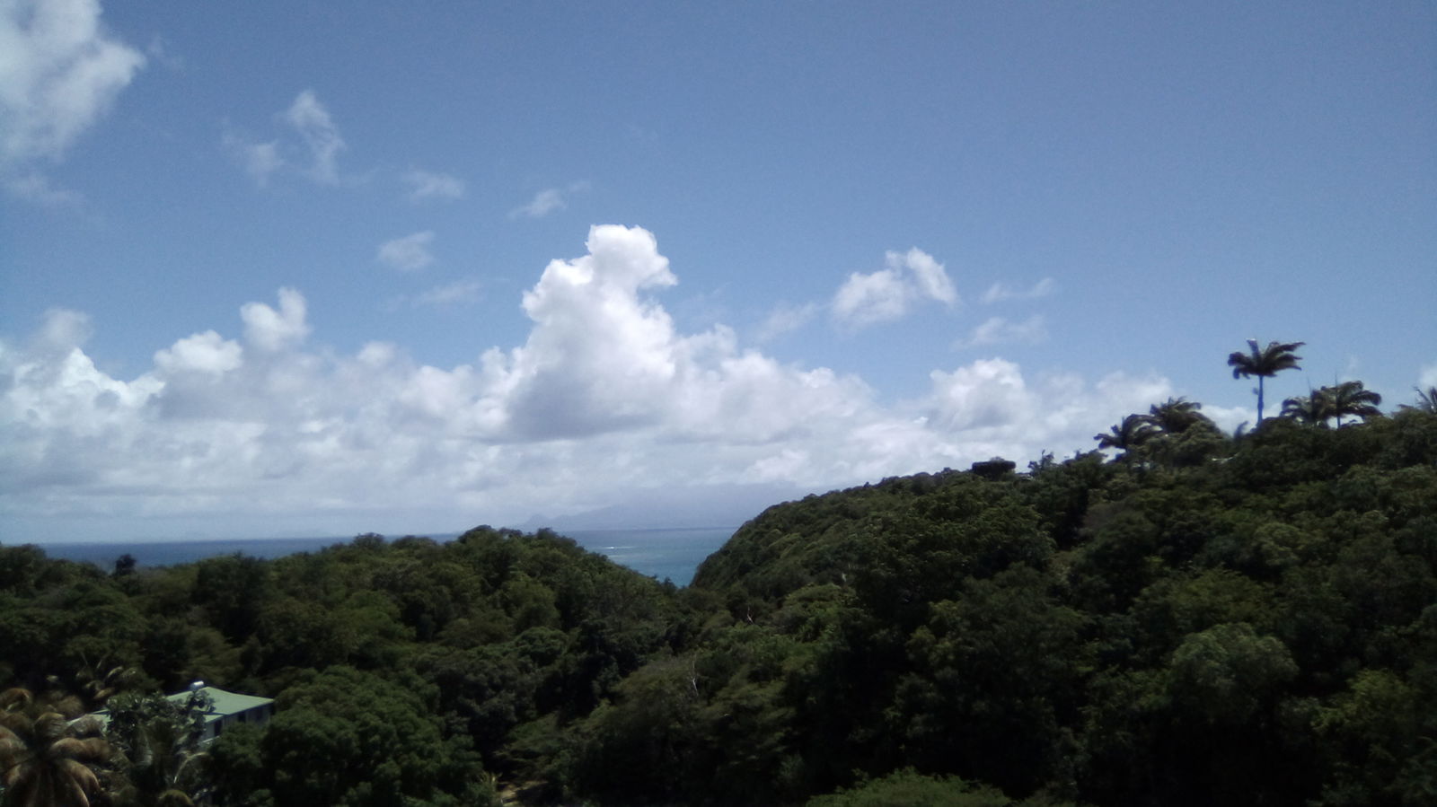 Homestay Le Gosier 433170