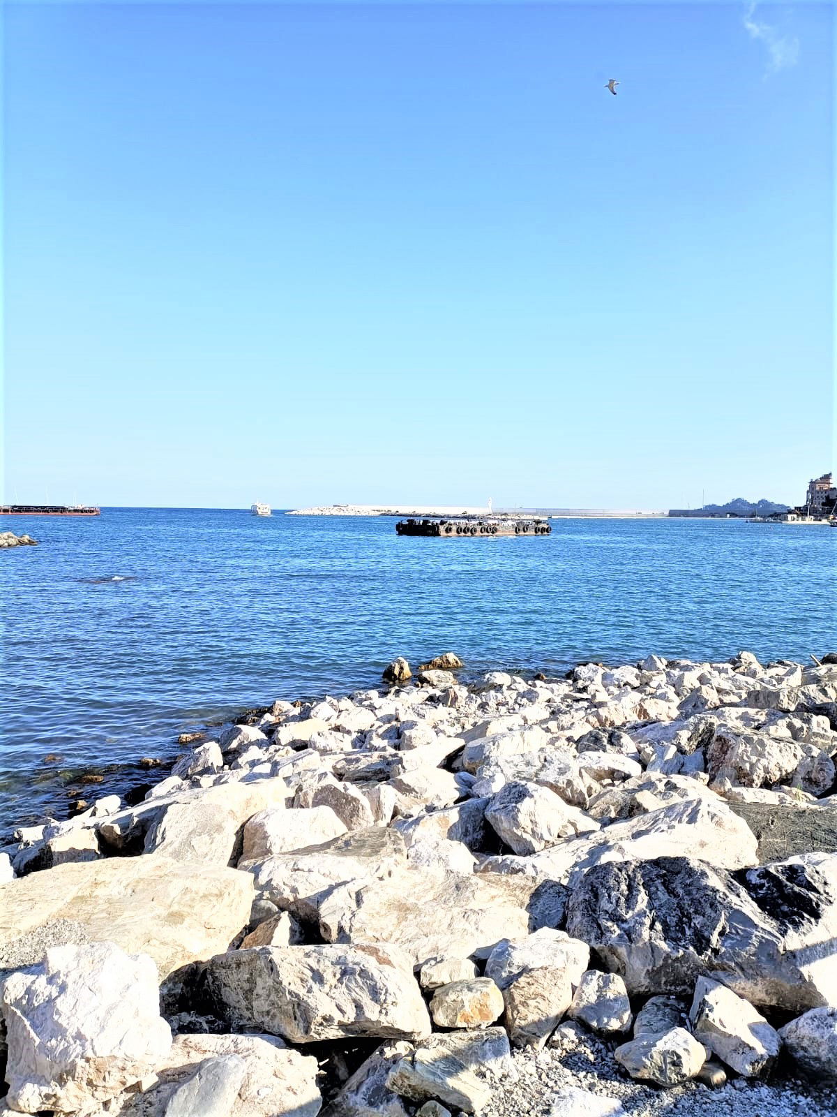 Independent Studio Rapallo 268052