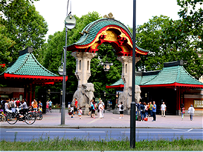 Good Deal For Top Location : Zoo And Tiergarten