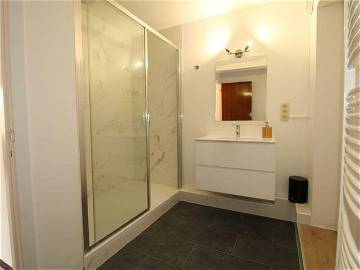 Colocation Charleroi 256948-2