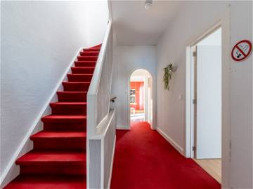 Colocation Charleroi 265536-16