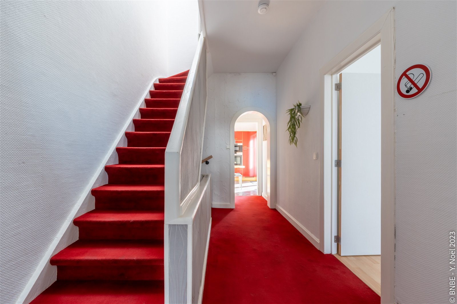 Colocation Charleroi 265539