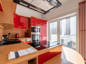 Kolokasie Charleroi 258398-7