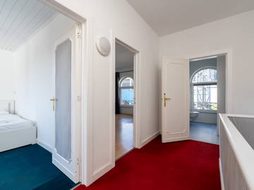 Kolokasie Charleroi 258398-13