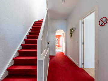 Kolokasie Charleroi 258398-9