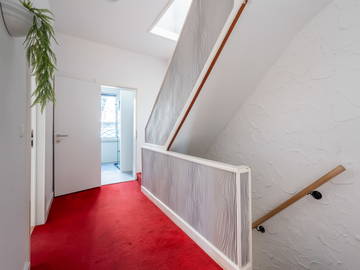 Kolokasie Charleroi 258398-5