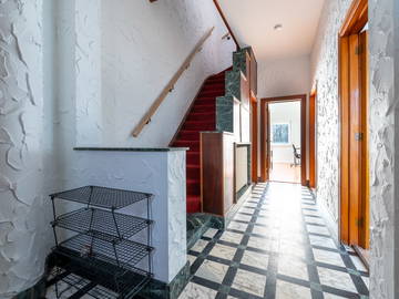 Kolokasie Charleroi 258398-20