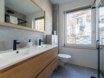 Kolokasie Charleroi 258398-14