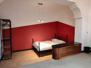 Kolokasie Charleroi 258398-16