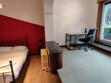 Kolokasie Charleroi 258398-17