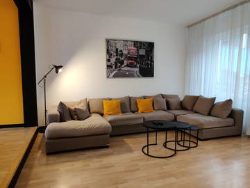 Kolokasie Charleroi 258398-12