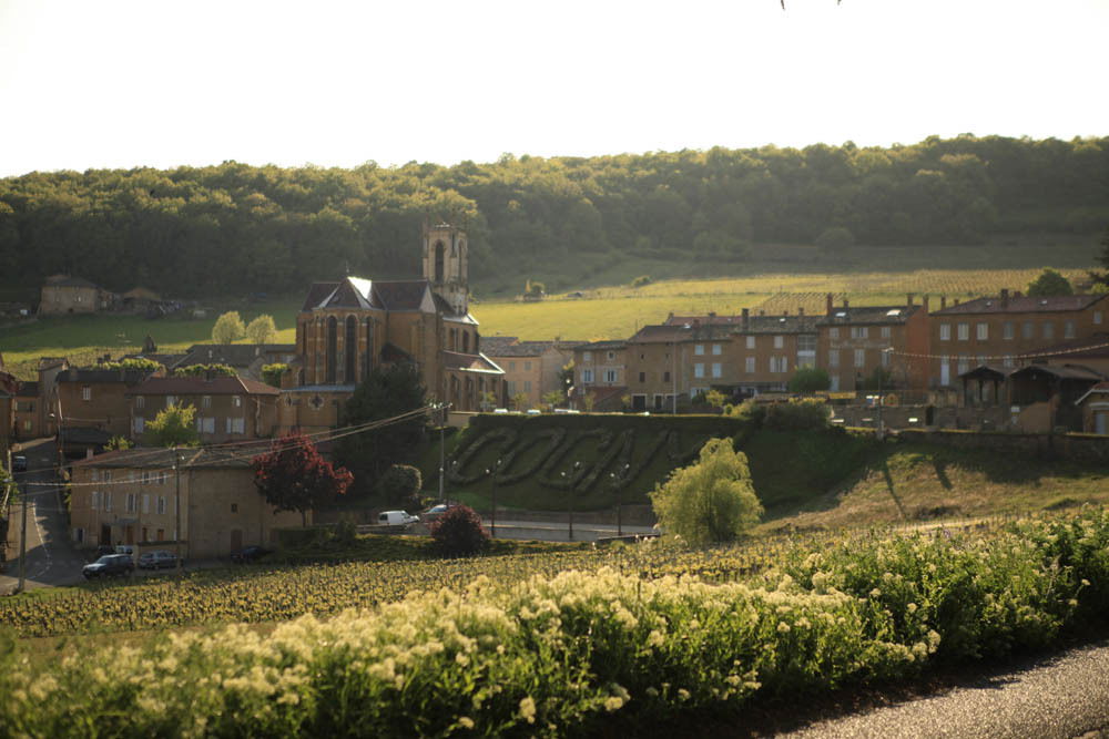 Gastgezin Cogny 106909