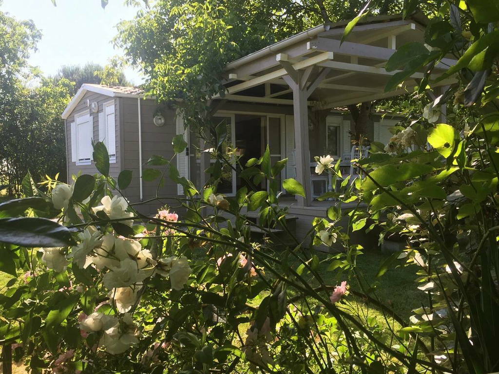 Ganzes Haus Vielle-Tursan 246400-1