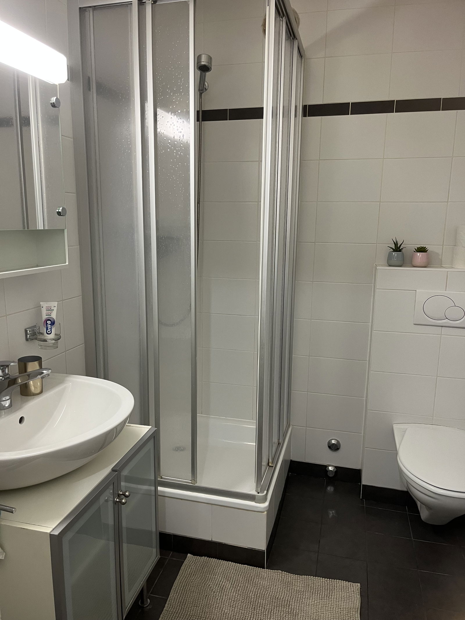 Estudio Independiente Genève 312045