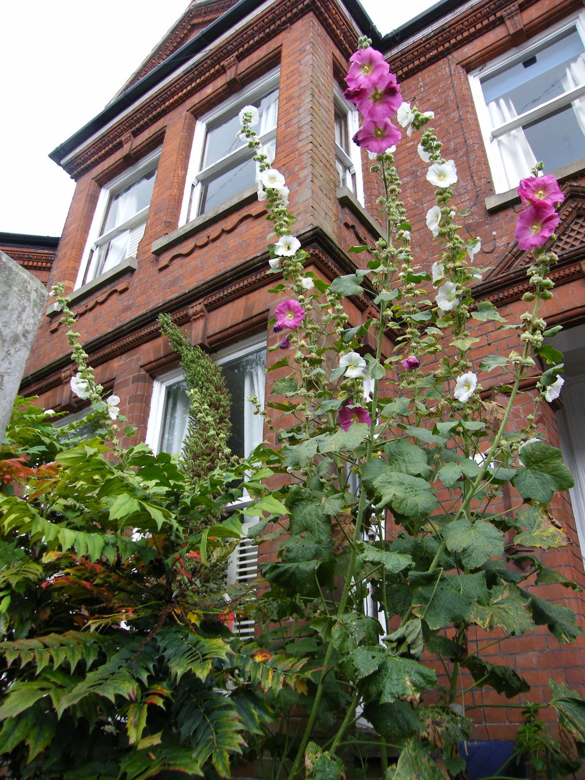 Habitaciones De Huéspedes Norwich 11796