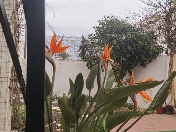 Chambre Chez L'habitant La Ñora 365861-6