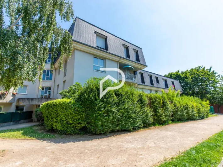 Kolokasie Massy 255359-2