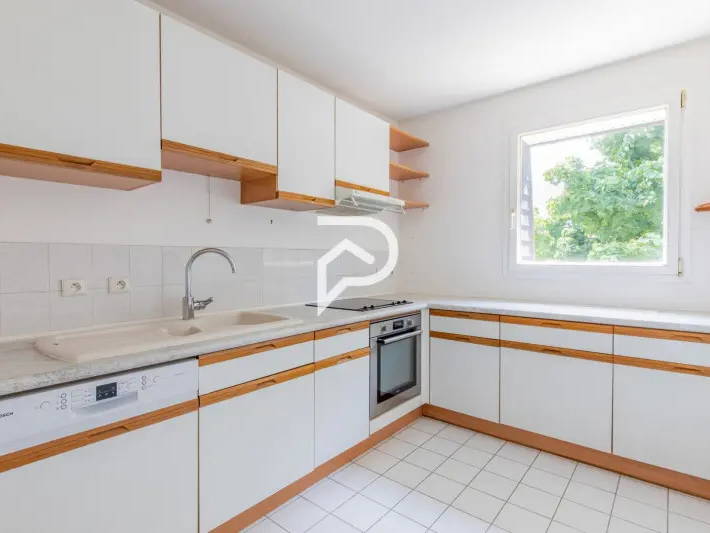 Kolokasie Massy 255359-5